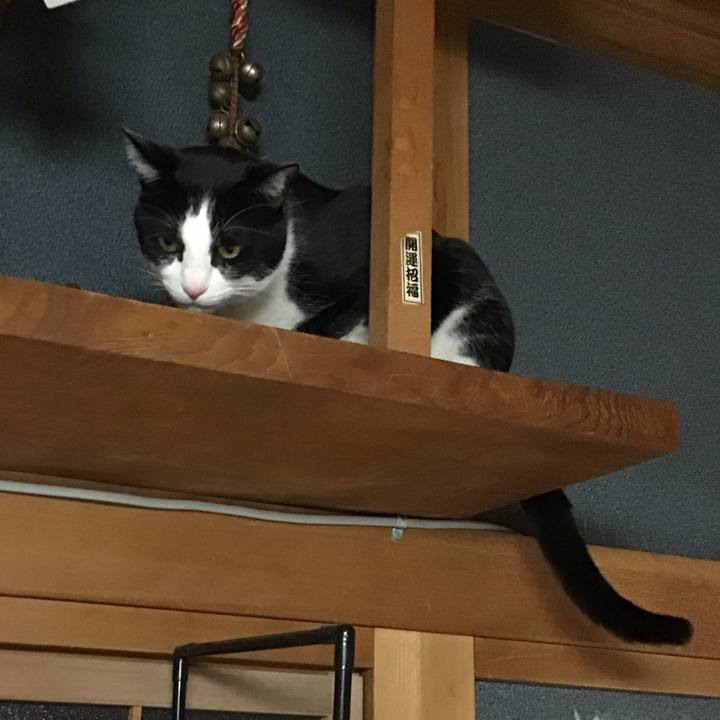 D2169c74 9d7b 4877 9873 24f1b0dc7b09 1740917488562