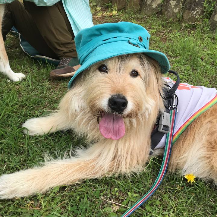 D216a3e4 b67d 4f85 8e6d ba1763ef591e 1651744265288