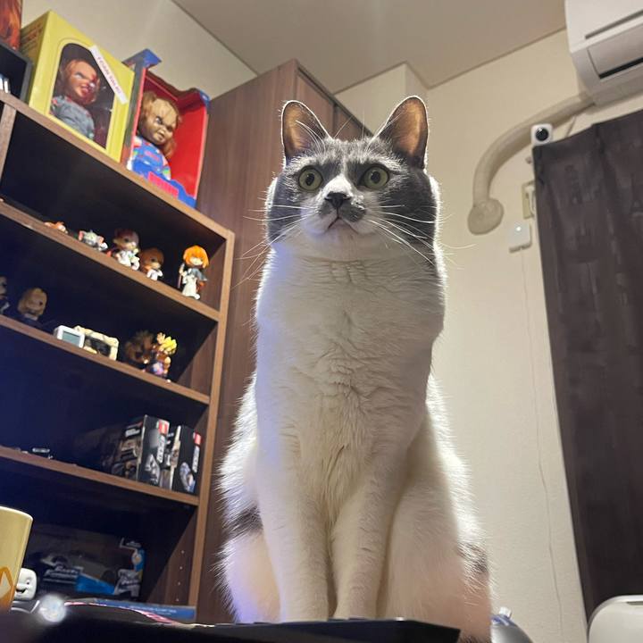 D216c11e 5b57 49ca 80d0 3f2cd44076f0 1706185382915