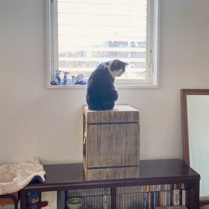 D216cfcd 0a9b 4e5d a419 333dafb75755 1617422333830