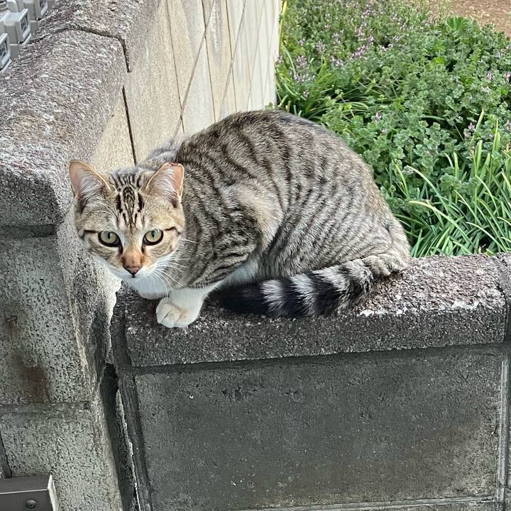 D217137d 0ec8 49b2 9df2 750ab055ff75 1741326831508