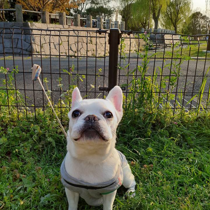 D21748dc d270 4e09 adf9 77ff1d8e7133 1680340191580