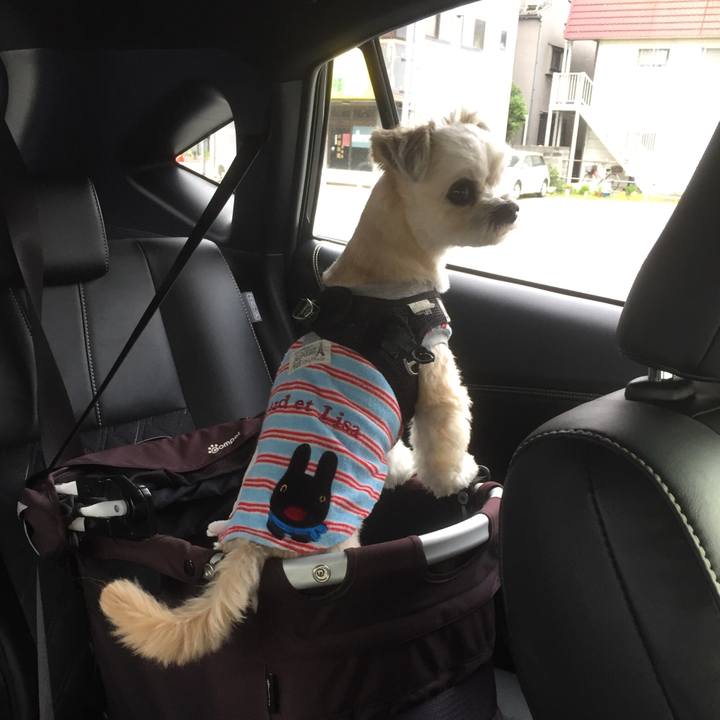 D21780dc 520b 440b abb7 5fcacfdbcb29 1556785999475