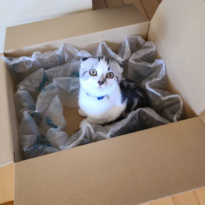 D217a618 d06e 41d4 9123 a72838b7cc9c 1632273228248