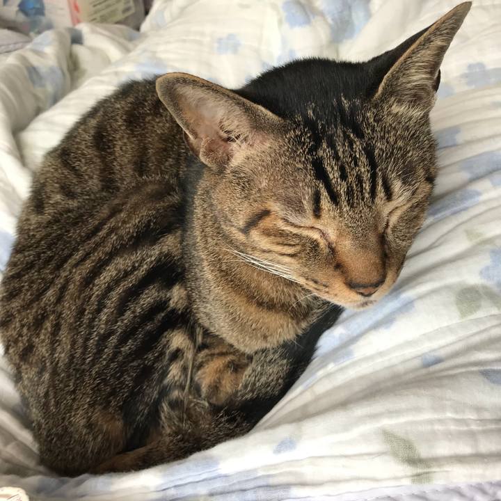 D217cf1c 02df 444c 8837 dbcc47fb2bc0 1524620402562