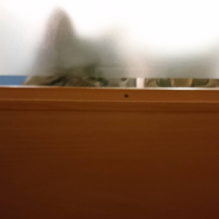 D217f7c0 1c92 4b74 8e75 e13b41f9ae94 1513840288516