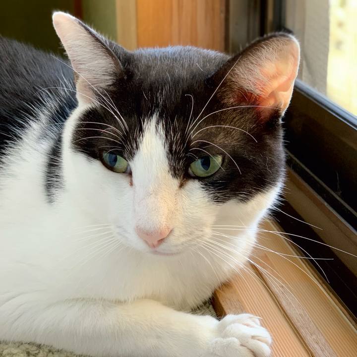 D218073d 18c3 44fa ac85 7489fca9c4ce 1539397772182