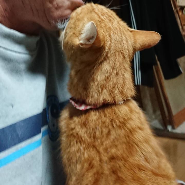 D2181168 162c 4272 b565 1ce6c8664ade 1602964985701