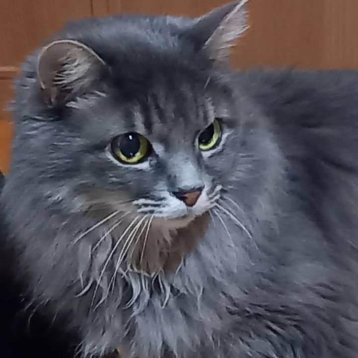 D2181c90 988f 48e9 865b b66bf2b18354 1670664695229