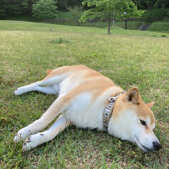 D2183cd7 4e21 4dd7 8e5a 9cf15a0e633a 1715947244359