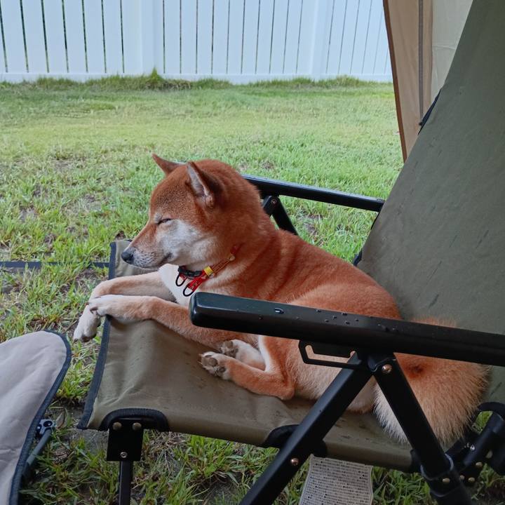 D21927f4 eb47 4590 9473 262a6b6c658f 1757751436931