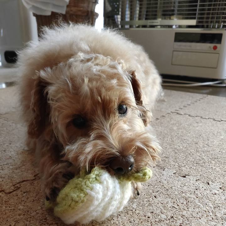 D219450d f769 478b ab18 df180c1c71a4 1602816404805