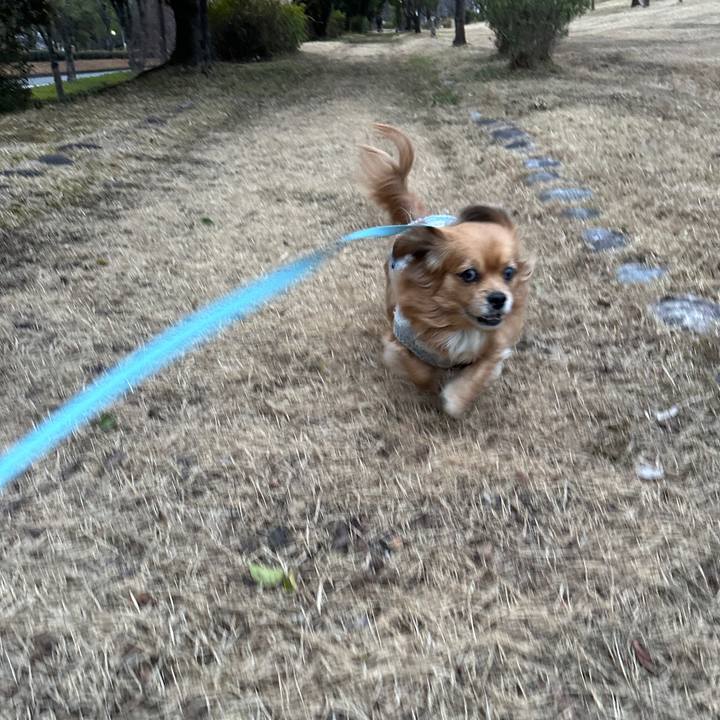 D2195131 a4cc 4b6a bc3b 0308bf713ebf 1707107056061