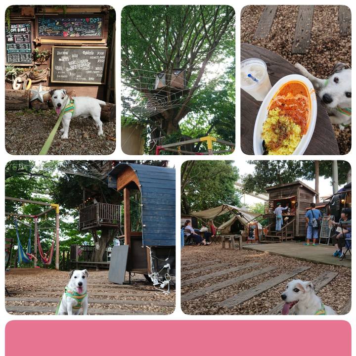 D2196b7c f817 4505 a545 e033a8ead2cf 1537797185962