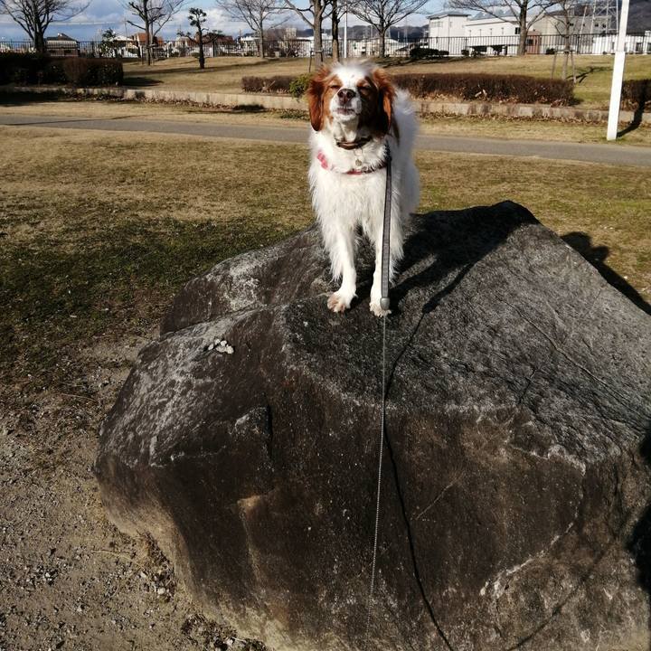 D219745b 9c73 405a b668 17cb54fb3aa2 1580979845959