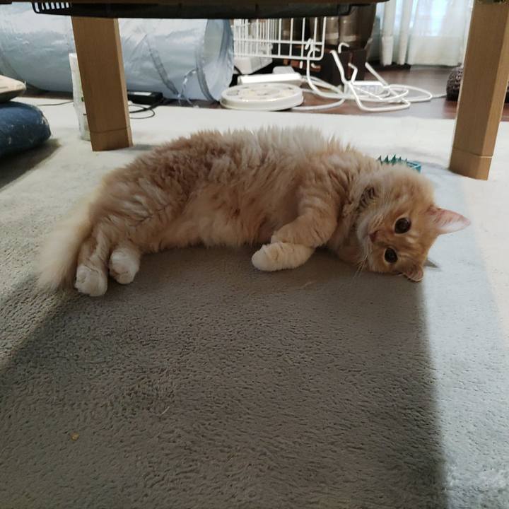 D219b3bb e217 4a1f ba28 b0dd6c108a39 1689199581319