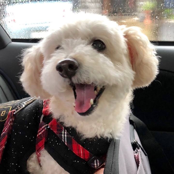 D21a0a46 3e97 457f 9964 e0edf2a0623e 1528757043355