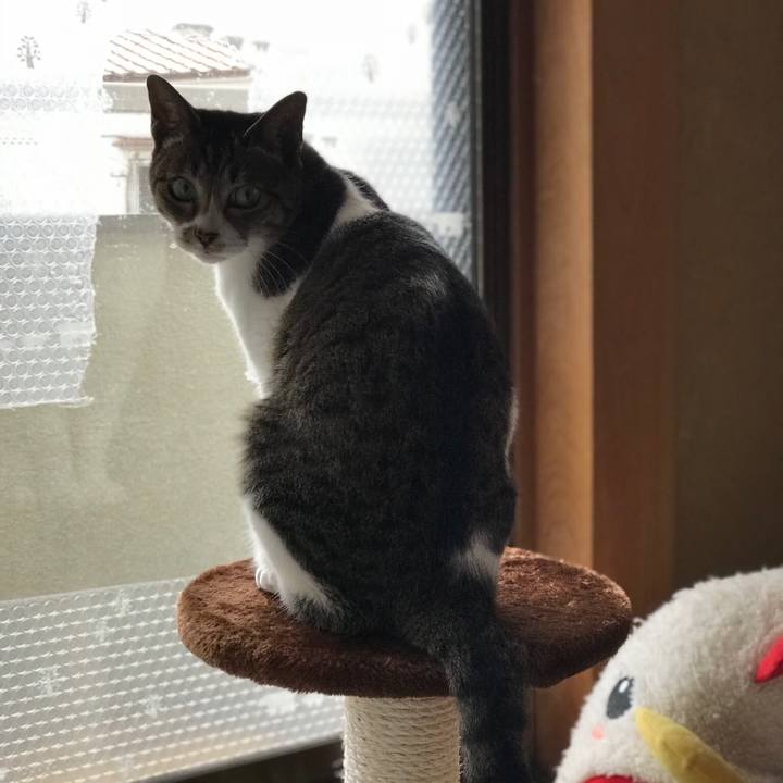 D21a0d05 0119 461a 958a dacbb1691517 1516758201579