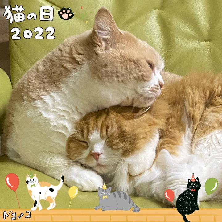 D21a1a4f 912e 4e8e a3fb 0bd7e80759db 1645504719849