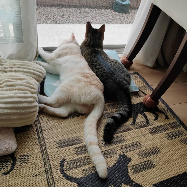 D21a366c b2ca 457a 8152 bbd4e19593f0 1654047364503