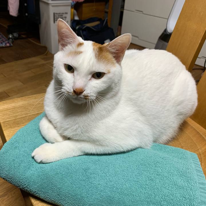 D21a5bc9 af05 4e79 b8bb 1ac29f2068aa 1586353260646