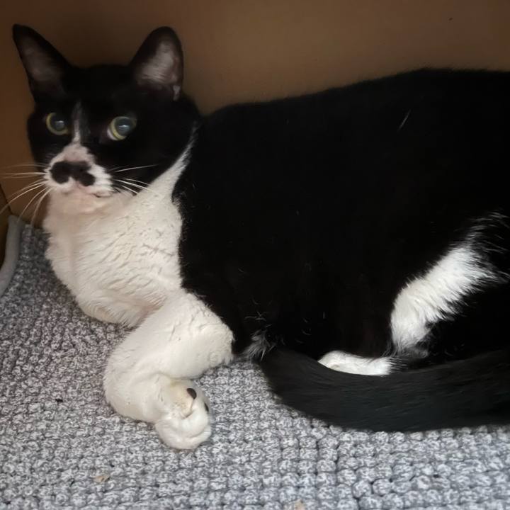 D21a6b9f 7bf2 4420 905d 79ec324f7095 1715531608388