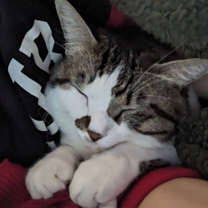 D21a810e ce98 4758 85aa dd426114c261 1699781962075