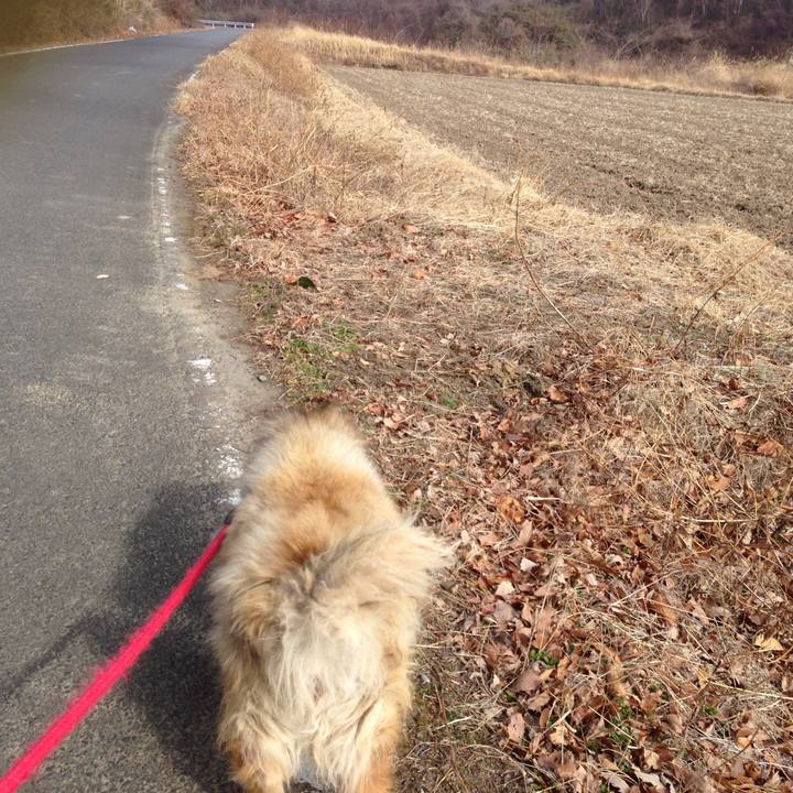 D21a9d67 c0d8 4504 954c 1af5f4747873 1549930331838