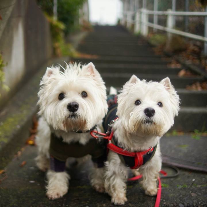 D21a9dbd cddf 4711 a00e 9a01ae05e1e2 1515501550395