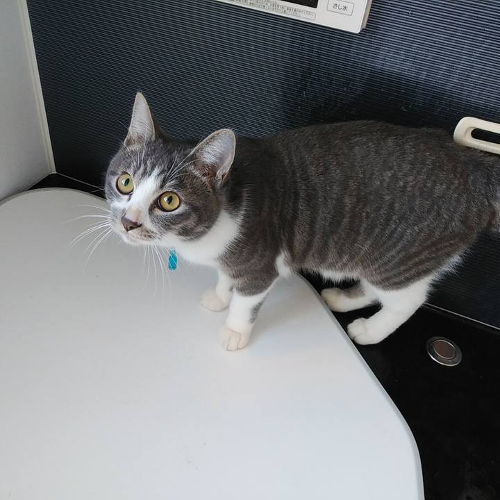 D21ac7b9 7d47 4a9b 9f72 412032feefc7 1573944816666