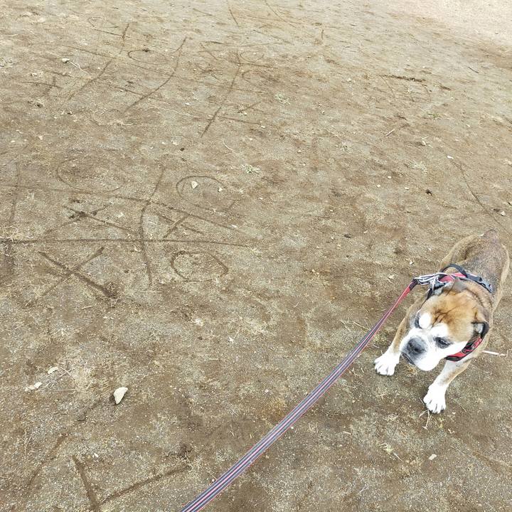 D21b1532 c33f 4ea4 aeba 9a64efee9e3c 1648294654402