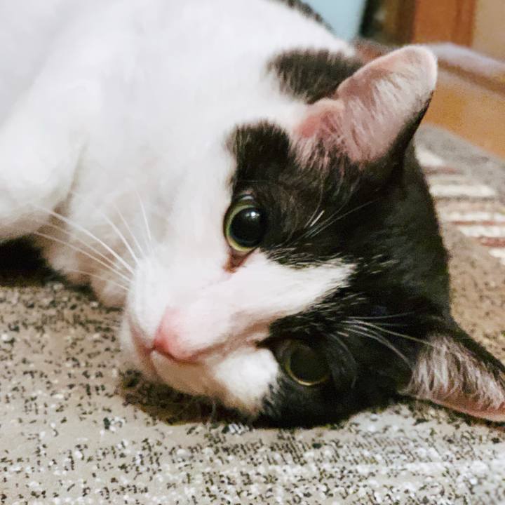 D21b206e 76f1 488e 8928 3e24e9aa2c9b 1556935085639