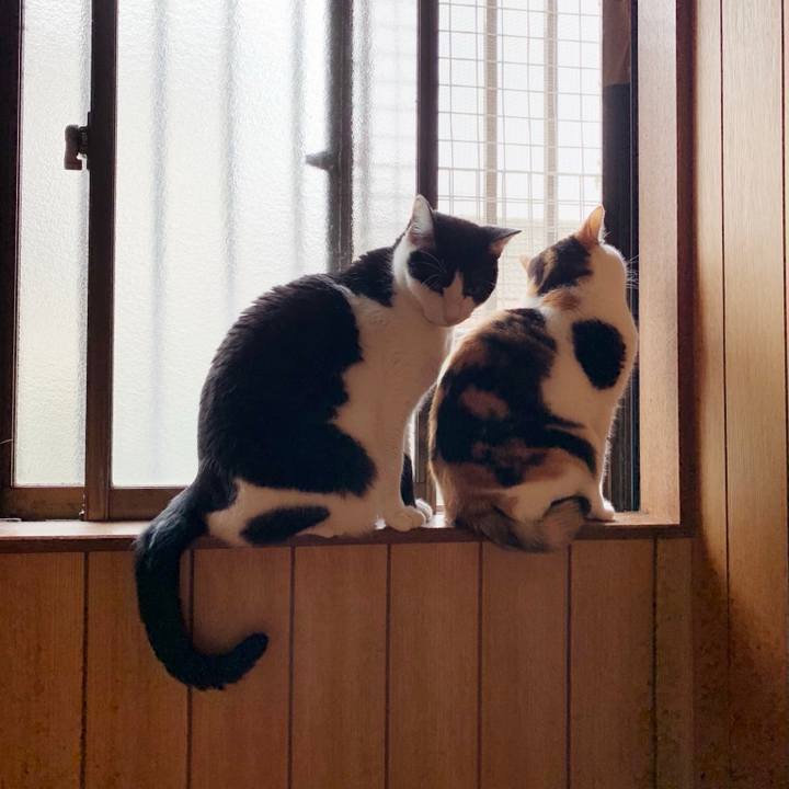 D21b2d5c 27d1 4b2e 868c 07195eb9e7f9 1554089782850