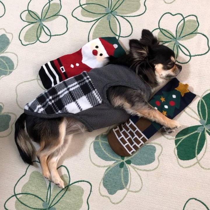 D21b2e52 15c3 4d89 b900 b3256e8a847c 1576106665933