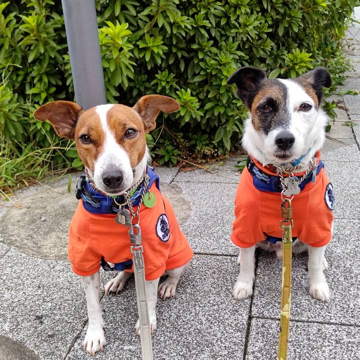 D21b40b2 606c 47ae 86ee 277bdefde93b 1634421850949