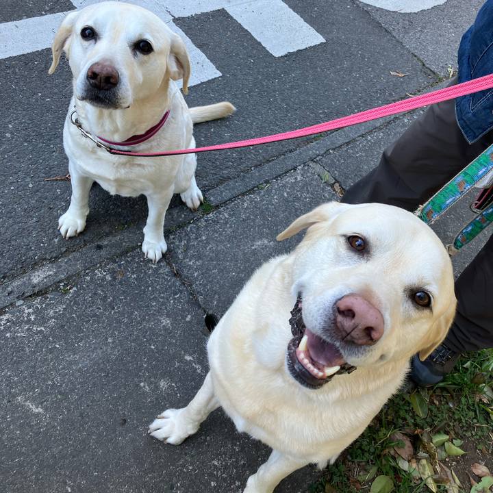 D21b7567 4fd2 48a7 8b04 8d1c1e644c24 1677462400437