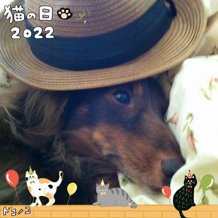 D21b81df be04 4ac3 8f19 a2544a15a94f 1645572145209