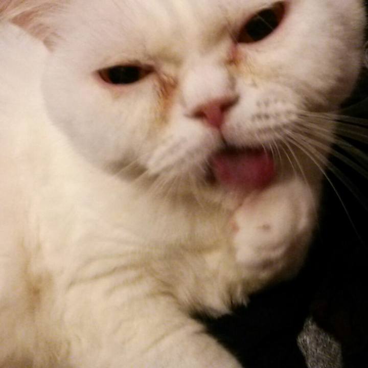 D21b9af9 ce17 4040 ac16 738a6f5fd3d9 1567880144603