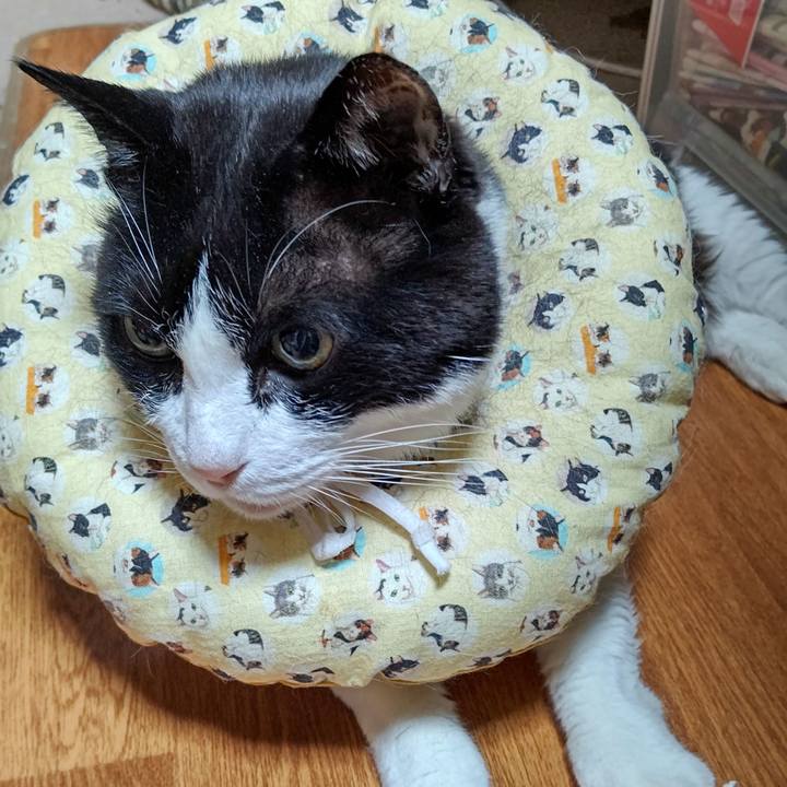 D21c256f e1e5 4a50 9338 5ccbbffbc614 1646775675371