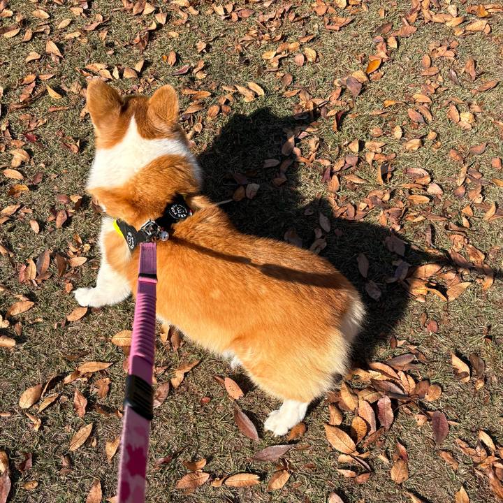 D21c286b fd92 4eb3 89b0 fe692cb18fa1 1763264064108