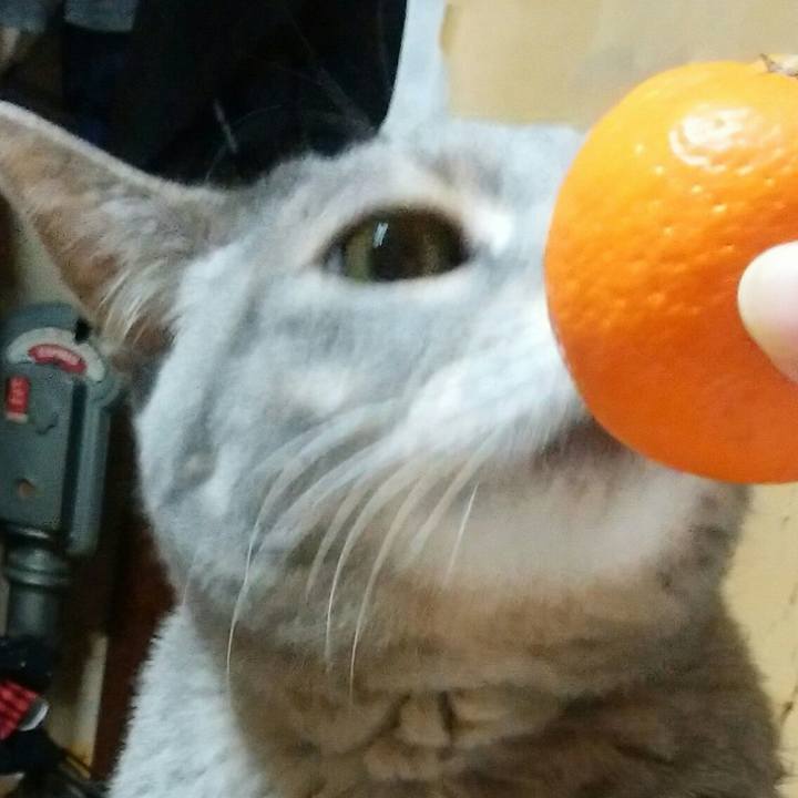 D21c37d2 61e5 452e a817 d337b0fc891f 1578401220562