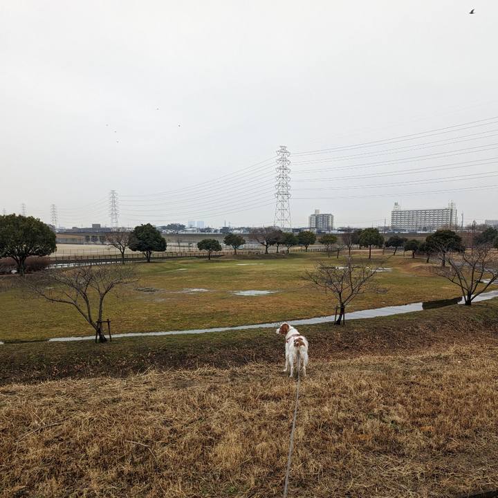 D21c44be fd6d 40ac ac41 3dfcf9019f94 1673683334339