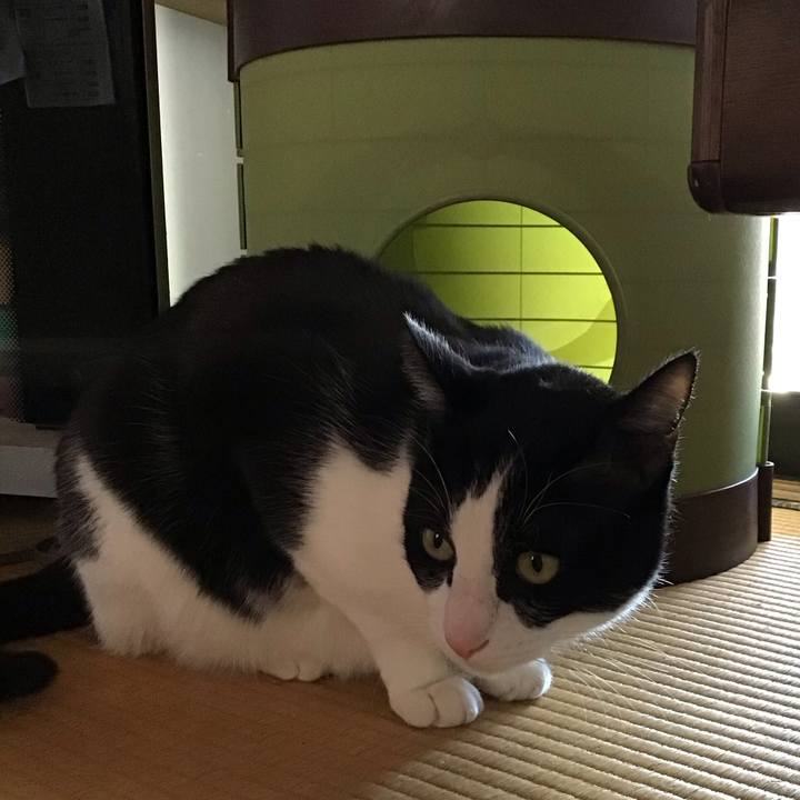 D21c5ad7 032a 4478 b17e f4697b020dff 1740043442216