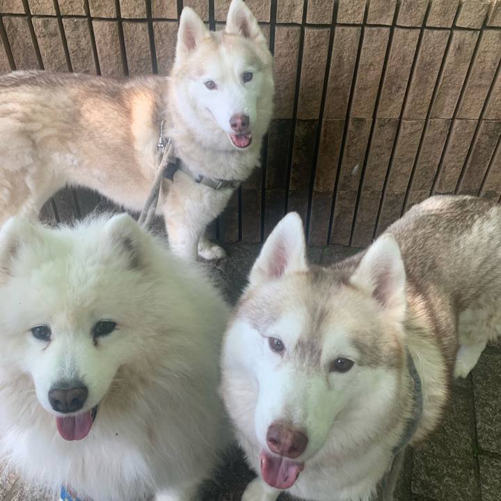 D21c76d5 a6ec 4daf a529 e7358e3aa287 1685856888723