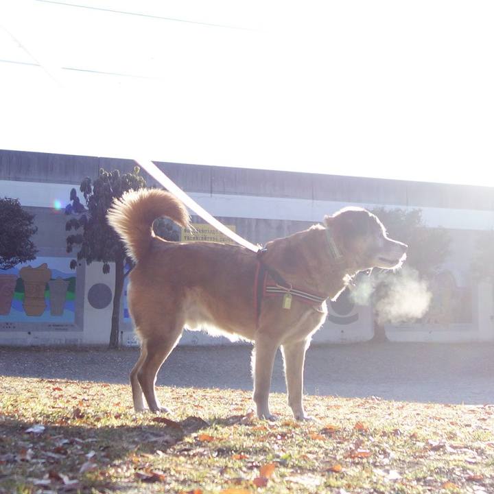 D21dad55 8e92 41dd ad72 bc47d1f4f952 1706836567328