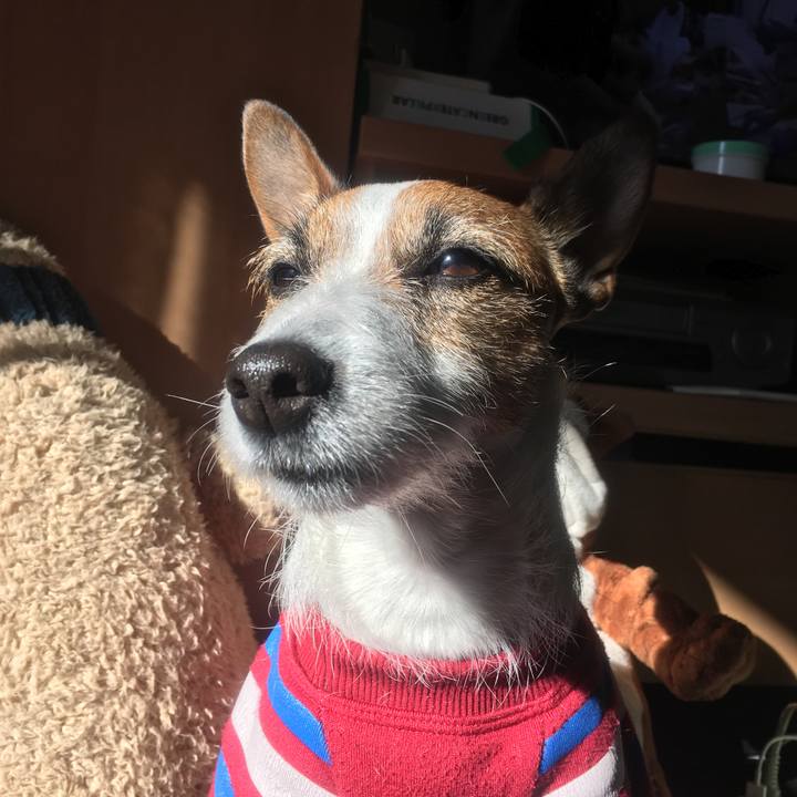 D21dc8d2 010f 49af b9b4 c59a088b4591 1552298876082