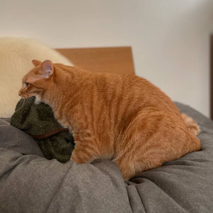 D21deb7a 86cb 4665 b308 502848a9b667 1668334489459