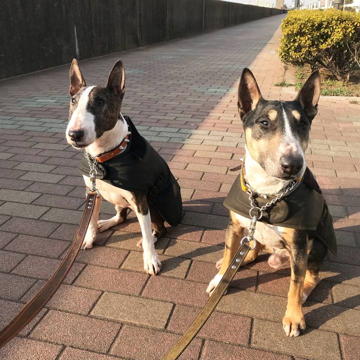 D21e4199 5765 46a4 80f6 2de123f852d1 1519457510768