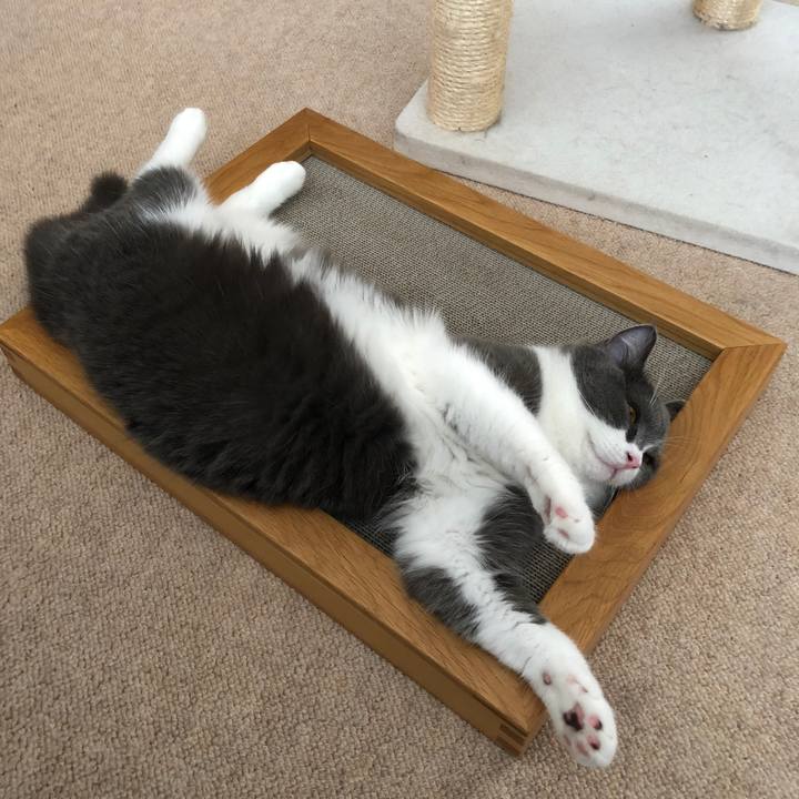 D21e5d64 2e78 4d51 bec0 2d03b2e8d5ee 1530061928066