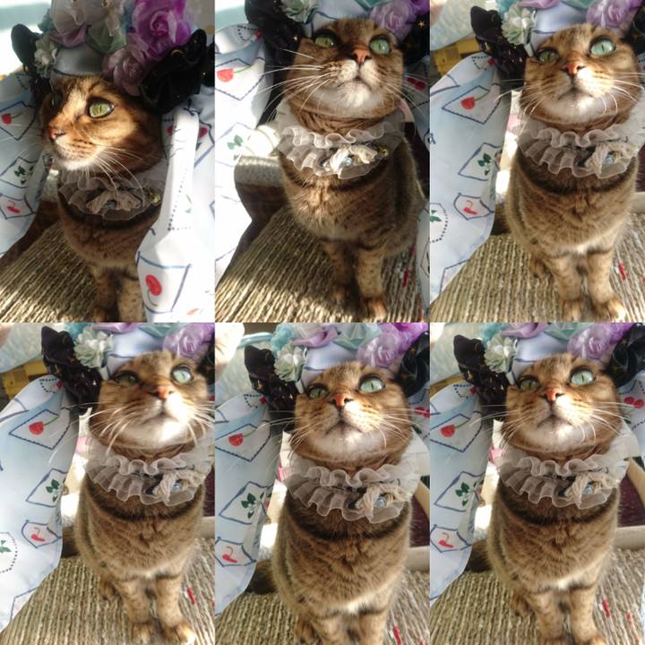 D21e75f9 d646 40d4 9781 3296bf846e47 1757883734379